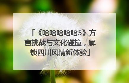 《哈哈哈哈哈5》方言挑战与文化碰撞，解锁四川风情新体验