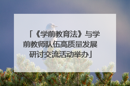 《学前教育法》与学前教师队伍高质量发展研讨交流活动举办