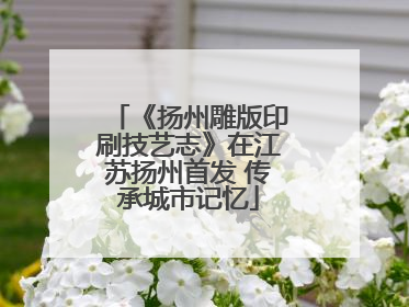 《扬州雕版印刷技艺志》在江苏扬州首发 传承城市记忆
