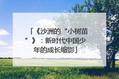 《沙洲的“小树苗”》：新时代中国少年的成长缩影