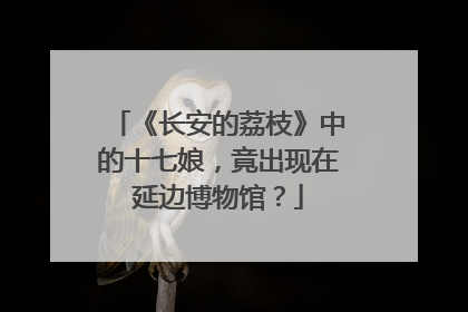 《长安的荔枝》中的十七娘，竟出现在延边博物馆？