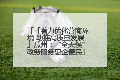 「着力优化营商环境 助推高质量发展」瓜州：“全天候”政务服务惠企便民