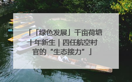 「绿色发展」千亩荷塘 十年新生｜四任航空村官的“生态接力”