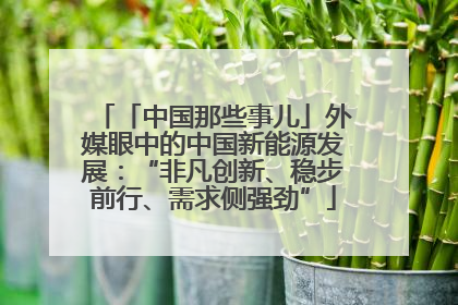 「中国那些事儿」外媒眼中的中国新能源发展：“非凡创新、稳步前行、需求侧强劲”