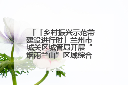 「乡村振兴示范带建设进行时」兰州市城关区城管局开展“烟雨兰山”区域综合整治专项行动