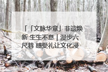 「文脉华章」非遗焕新 生生不息｜漫步六尺巷 感受礼让文化浸润的“巷”往生活