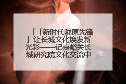 「新时代陇原先锋」让长城文化焕发新光彩——记嘉峪关长城研究院文化交流中心干部张晓燕