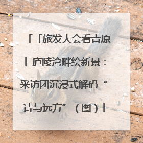 「旅发大会看青原」庐陵湾畔绘新景：采访团沉浸式解码“诗与远方”（图）