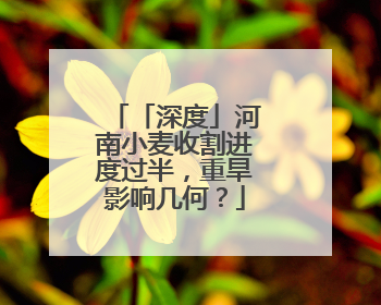 「深度」河南小麦收割进度过半，重旱影响几何？