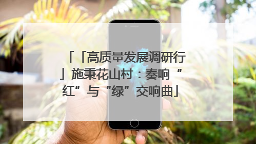 「高质量发展调研行」施秉花山村：奏响“红”与“绿”交响曲