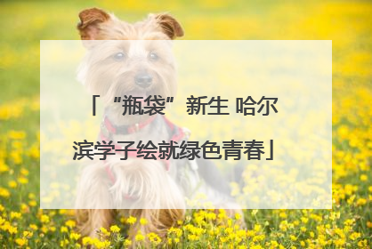 “瓶袋”新生 哈尔滨学子绘就绿色青春