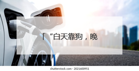 “白天靠狗，晚上靠灯”！菌子近期疯长！别乱捡