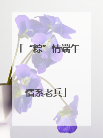 “粽”情端午 情系老兵