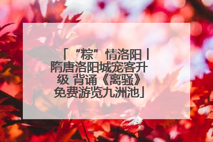 “粽”情洛阳丨隋唐洛阳城宠客升级 背诵《离骚》免费游览九洲池