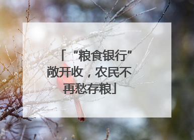 “粮食银行”敞开收，农民不再愁存粮