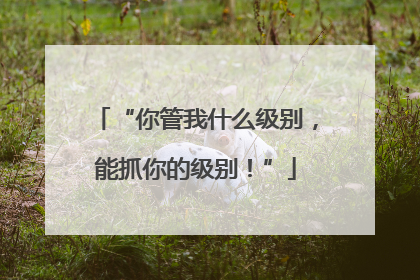 “你管我什么级别，能抓你的级别！”