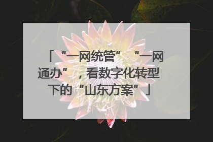 “一网统管”“一网通办”，看数字化转型下的“山东方案”