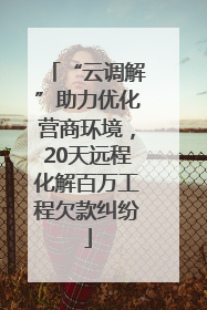 “云调解”助力优化营商环境，20天远程化解百万工程欠款纠纷