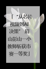 “从芯片视频到AI决策” 眉山彭山一小教师斩获市赛一等奖