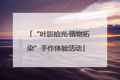 “叶影拾光·植物拓染”手作体验活动
