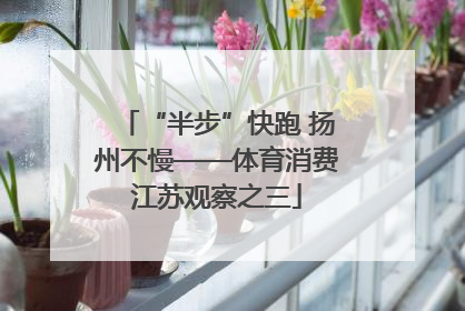 “半步”快跑 扬州不慢——体育消费江苏观察之三