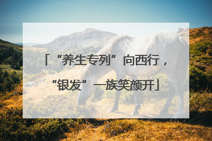 “养生专列”向西行，“银发”一族笑颜开