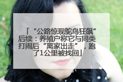 “公路惊现鸵鸟狂飙”后续：养殖户称它与同类打闹后“离家出走”，跑了1公里被找回