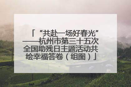 “共赴一场好春光”——杭州市第三十五次全国助残日主题活动共绘幸福答卷（组图）