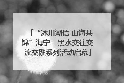 “冰川潮信 山海共锦”海宁—黑水交往交流交融系列活动启幕