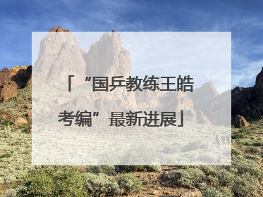 “国乒教练王皓考编”最新进展