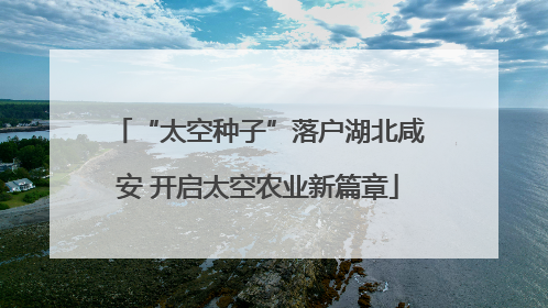 “太空种子”落户湖北咸安 开启太空农业新篇章