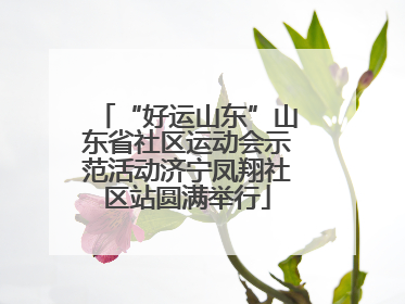 “好运山东”山东省社区运动会示范活动济宁凤翔社区站圆满举行