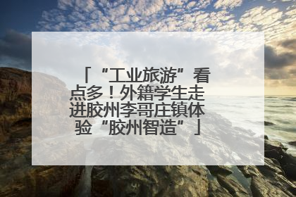 “工业旅游”看点多！外籍学生走进胶州李哥庄镇体验“胶州智造”