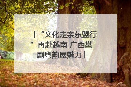 “文化走亲东盟行”再赴越南 广西邕剧粤韵展魅力