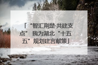 “智汇荆楚·共建支点” 我为湖北“十五五”规划建言献策