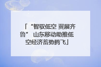 “智驭低空 翼展齐鲁” 山东移动助推低空经济蓄势腾飞