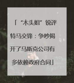 “木头姐”锐评特马交锋：争吵揭开了马斯克公司有多依赖政府合同