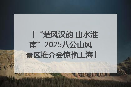 “楚风汉韵 山水淮南”2025八公山风景区推介会惊艳上海