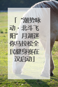 “潮势咏动・北斗飞阳”月湖迷你马拉松全民健身赛在汉启动