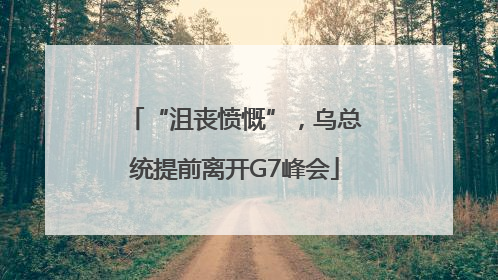 “沮丧愤慨”，乌总统提前离开G7峰会