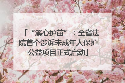 “溪心护苗”：全省法院首个涉诉未成年人保护公益项目正式启动