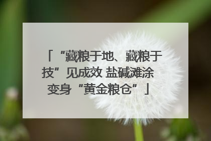 “藏粮于地、藏粮于技”见成效 盐碱滩涂变身“黄金粮仓”