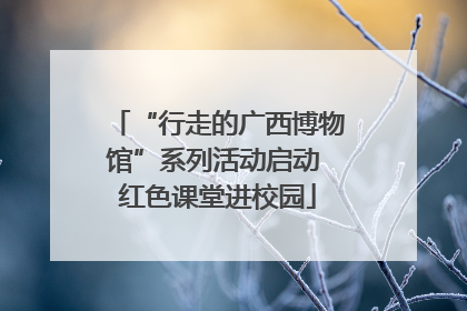 “行走的广西博物馆”系列活动启动 红色课堂进校园