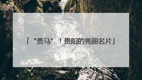 “贵马”！贵阳的亮丽名片