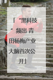 “黑科技”频出 青田杨梅产业大脑首次公开