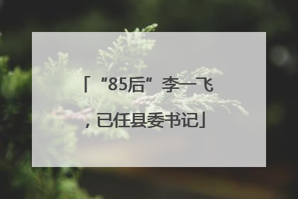 “85后”李一飞，已任县委书记