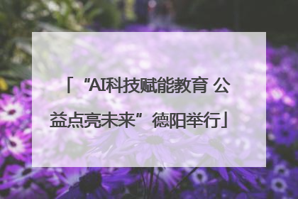 “AI科技赋能教育 公益点亮未来”德阳举行