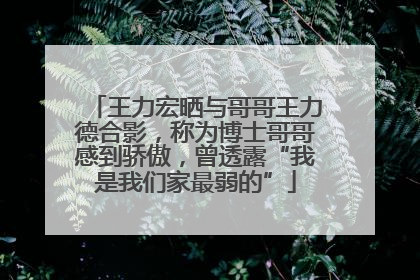 王力宏晒与哥哥王力德合影，称为博士哥哥感到骄傲，曾透露“我是我们家最弱的”