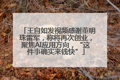 王自如发视频感谢董明珠雷军，称将再次创业，聚焦AI应用方向，“这件事确实来钱快”