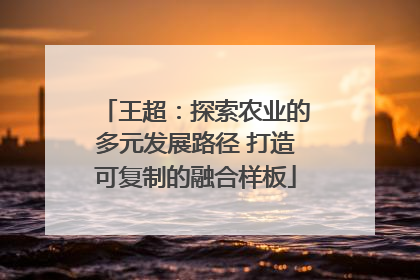 王超：探索农业的多元发展路径 打造可复制的融合样板
